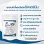 เบญจออยล์ ซีเคอร์มิน (BENJA OIL SECURMIN)