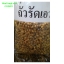 ถั่วรัดเอว