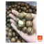 ถั่วแมคคาเดเมียมีเปลือก ของอเมริกา (Macadamia)