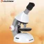 Celestron กล้องจุลทัศน์ S82102 40X - 640X