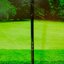 Driver PRGR Super Egg Loft 10.5 (M-37) flex R 42g.