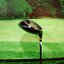 Driver Mystery Royal ll Loft.10.5 CF-460HT (Fire Express / R) หน้าเด้งเกินกฏ
