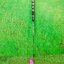 Putter Burke GOLF AI+77R (grip 2.2) 33”, 34” ( USA.) Face Balance ( สีชมพู ) ปี2025
