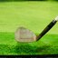 Wedge Royal Collection DB Forged Loft 58 (N.S.Pro)