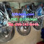 เครื่องปัดเงาพื้น CHAMPION BURNIO 2000