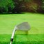 Wedge PXG Sugar Daddy 0311 50’/10 (Dynamic gold) / (S200)