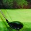 Driver Titleist 915D2 9.5 (Diamana) / (R)