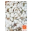 ถั่วพิสตาชิโอ USA (Pistachio)