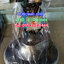 เครื่องปัดเงาพื้น CHAMPION BURNIO 2000