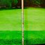 Driver Katana Voltio Ninja 880 Hi / 10 (Speeder 461) / (SR) หน้าเด้งสุด