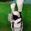 Full set Cleaveland BLOOM ( 7-9 PW,56/14+W.1+W.5+Ut.5+Putter)