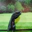 Driver Titleist TSR2 Loft 10.0 (Flex : S) (TSP111)