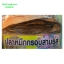 ปลาหมึกกรอบสามรส
