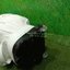 Golf Bag PEARLY GATES 8.5” (2 wheel)