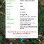 ขายที่ดินเกาะสมุย (รหัสทรัพย์202086) ต.อ่างทอง อ.เกาะสมุย จ.สุราษฎร์ธานี ขนาด 305 ตรว. ที่ดินเป็นสวน เข้าซอยอ่างทอง 2 ประมาณ 1 กิโลเมตร ถนนทวีราษฎร์ภักดี
