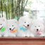 Samoyed , ซามอยด์ , ขายซามอยด์ , ขายSamoyed , ขายลูกสุนัขซามอยด์ ,ขายลูกสุนัขSamoyed