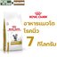 Urinary S/O แมวโรคนิ่ว 7 กก.