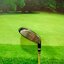 Fairway Honma Beres S-06 w.5 (ARMRQ X) 2 star , flex : R