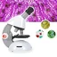 Celestron กล้องจุลทัศน์ S82102 40X - 640X