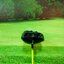 Driver Grandprix GP Plattinum Loft 9.5 (Fujikura PRECURSOR) / (S) 45 g.