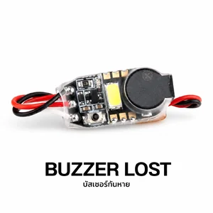 Buzzer and Lost